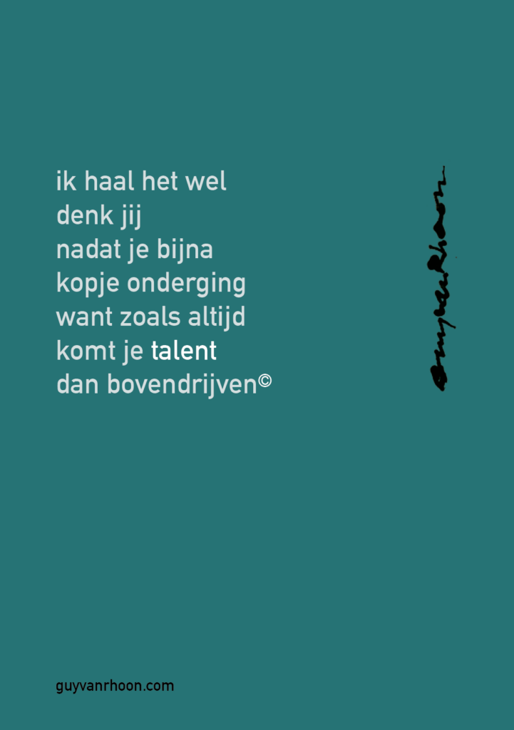 Talent - Guy van Rhoon - kunstenaar tekst